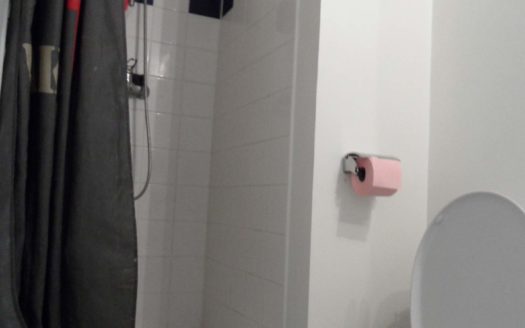 Nantes Hypercentre : studio meublé, état neuf, au calme et lumineux