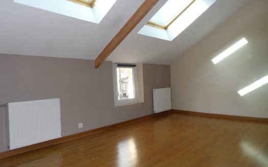 Nantes Centre Ville : maison de ville avec petit jardin sans vis-à-vis