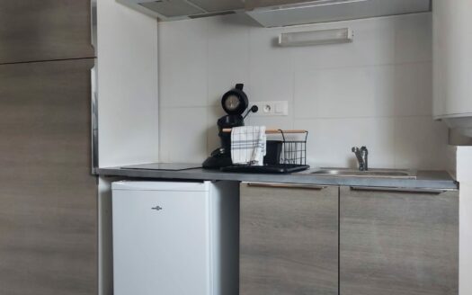 Nantes Pont du Cens : maison de ville rénovée aménagée en 2 habitations