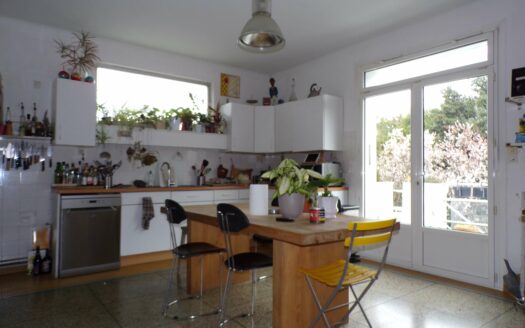 Nantes Procé : maison familiale lumineuse, grande terrasse avec vue panoramique plein sud, jardin