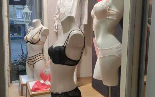 Vannes Intra-Muros : Fonds de commerce à céder – EMPLACEMENT N°1