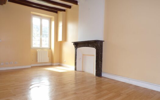 Centre-bourg : ensemble immobilier de 2 appartements avec jardins, libres, fort potentiel