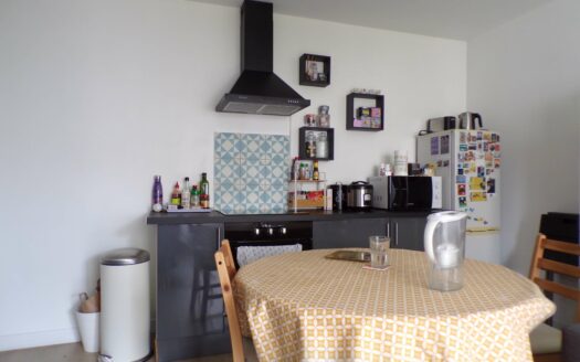 Nantes Centre – T2 lumineux et au calme, petite copropriété, terrasse plein sud sans vis-à-vis + parking
